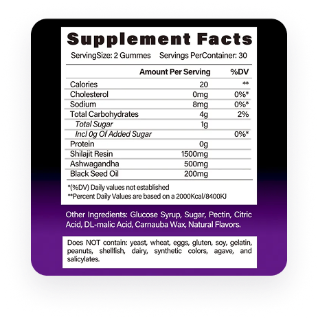 BSYS SHILAJIT GUMMIES 60'S pouch