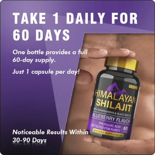 BSYS SHILAJIT GUMMIES 60'S