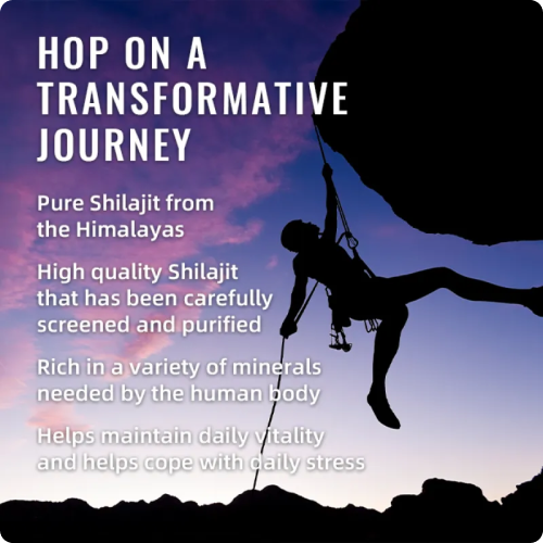 BSYS SHILAJIT GUMMIES 60'S